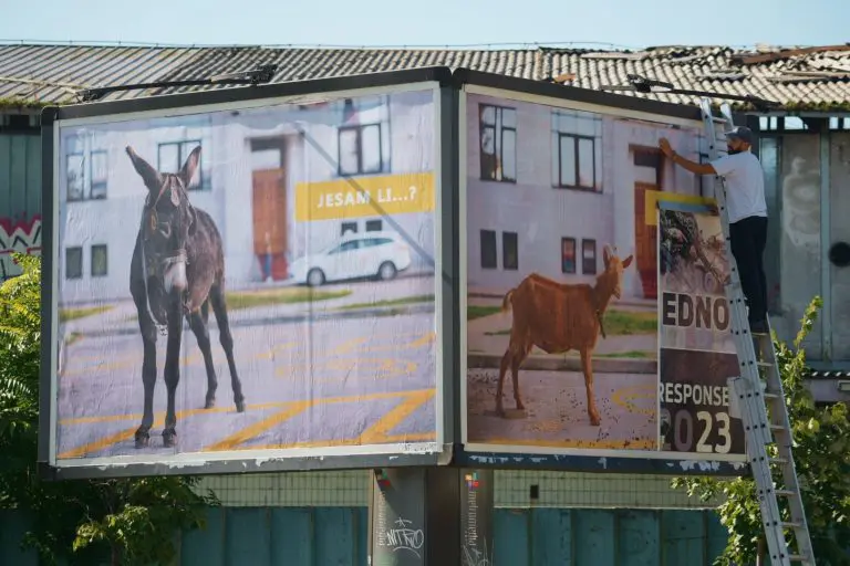 “Jesam li?”: Stigao odgovor umjetnice Jelene Medić na političke plakate (FOTO)