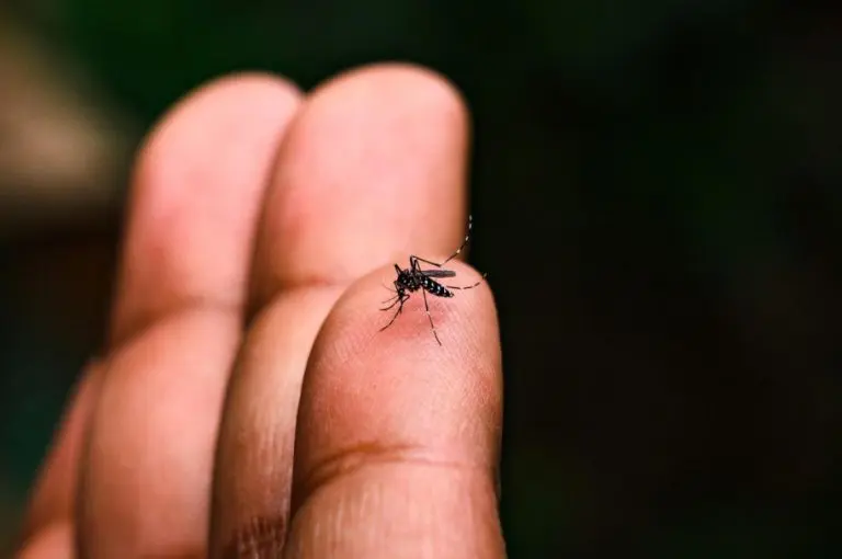 ‘Dvije opasne virusne bolesti proširit će se po Evropi, očekujte širenje zaraze”