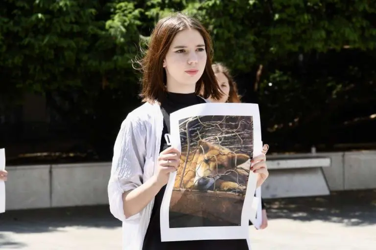 U Sarajevu obilježen Nacionalni dan prava životinja