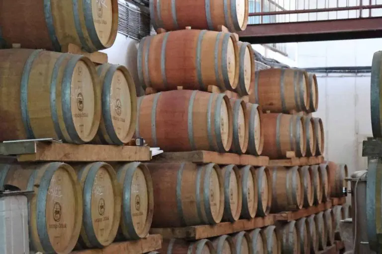 Počela berba grožđa u Hercegovini, vinogradari imali jednu od najlošijih godina