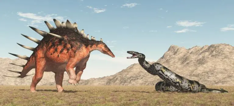 Protiv nje nijedna životinja nije imala šanse: Upoznajte titanobou, najveću zmiju ikada otkrivenu