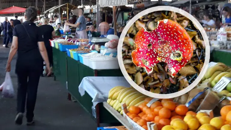 Žena koja prodaje otrovne pečurke nakon trovanja opet viđena na pijaci: Sedam Šapčana u bolnici, dvoje u teškom stanju