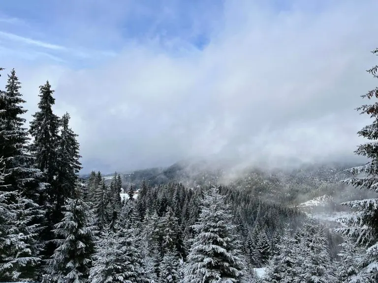 Planirate zimovati na Vlašiću, evo koliko vam treba novca?