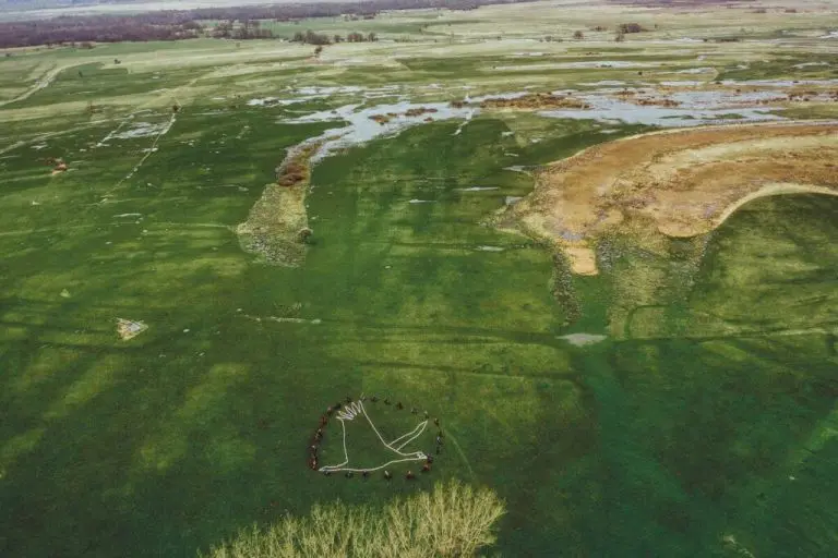 Danas je Međunarodni dan biodiverziteta: Što prije zaštititi Gornju Neretvu i Livanjsko polje
