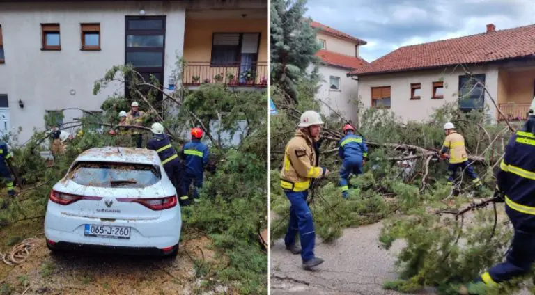 Nakon velikog nevremena u zapadnoj Hercegovini najviše stradali vinogradi i zasadi duvana