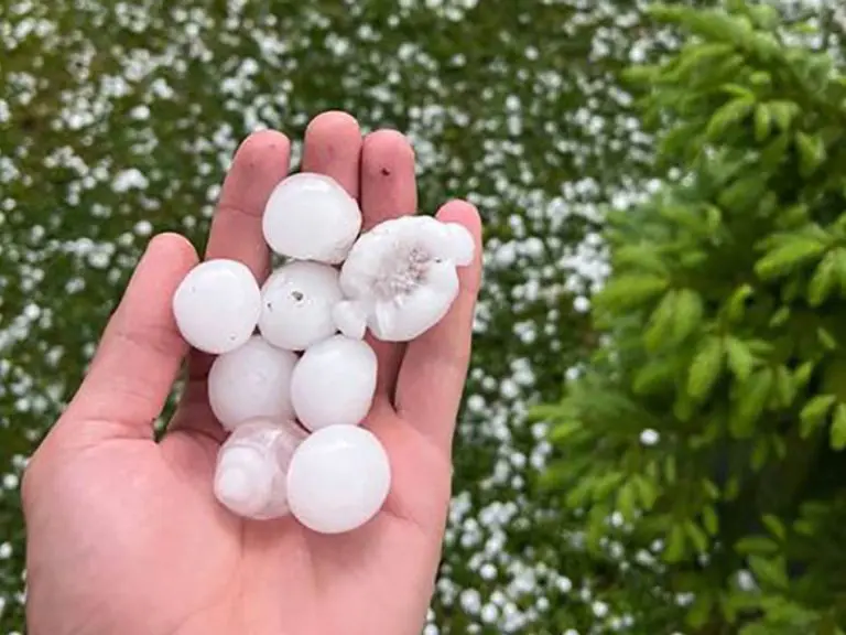 Uništeni usjevi i voće: Grad veličine jajeta opustošio Bratunac