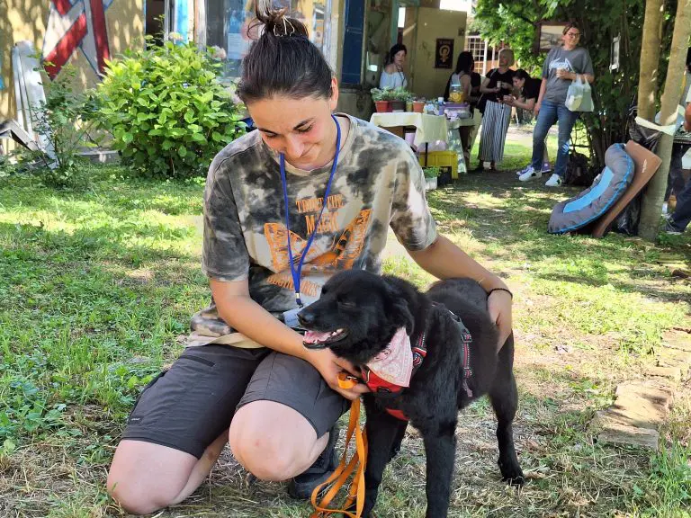 Svjetlana je svoj život posvetila nemoćnim životinjama, od petnaeste godine spašava pse koji bi inače bili uspavani ili bi uginuli u mukama