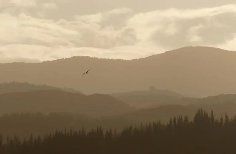 Opasne čestice sa saharskim pijeskom stigle na Balkan (VIDEO)