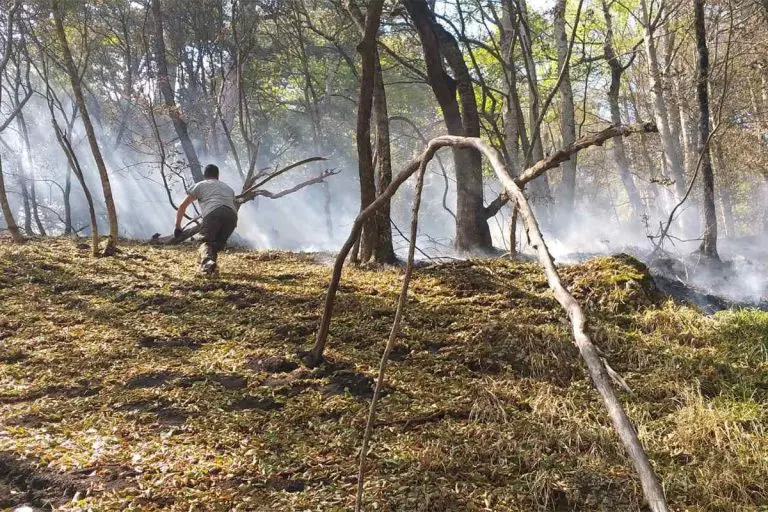 Ponovo aktivirani požari u Nacionalnom parku “Sutjeska”