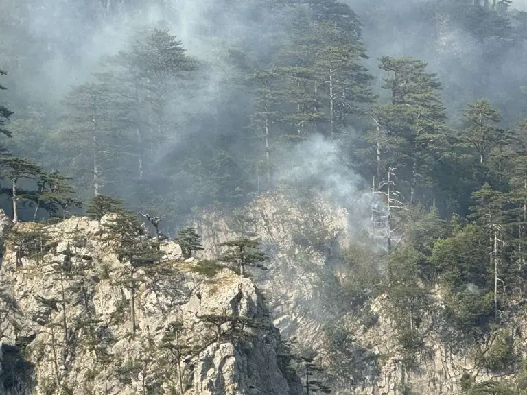 Nadljudska borba sa vatrenom stihijom na Zelengori