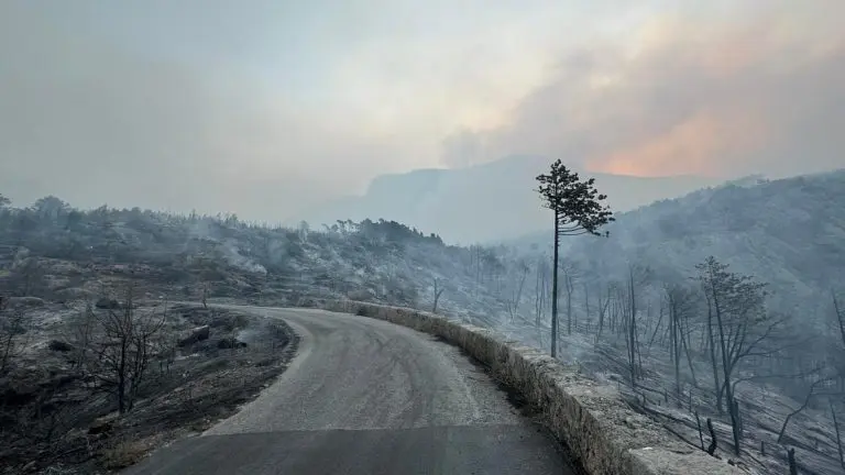 “Zanimljivo, uvijek oko Oluje!” Licemjerne teorije zavjera oko uzroka požara na Jadranu, šta je stvarni uzrok? Evo odgovora..