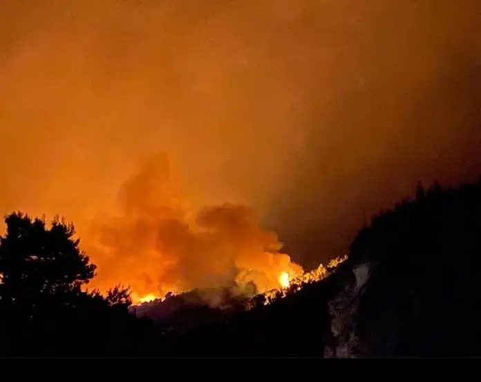 pozar tucepi, foto Anadolija