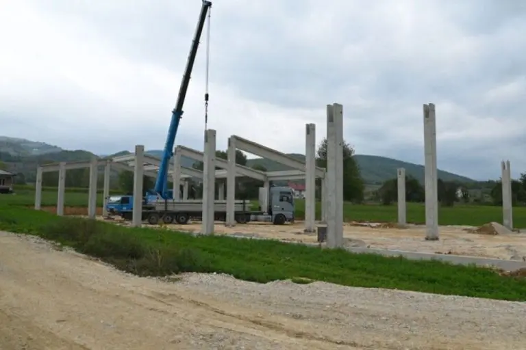  “Zlatno polje”: Braća u BiH podižu farmu vrijednu više od milion maraka