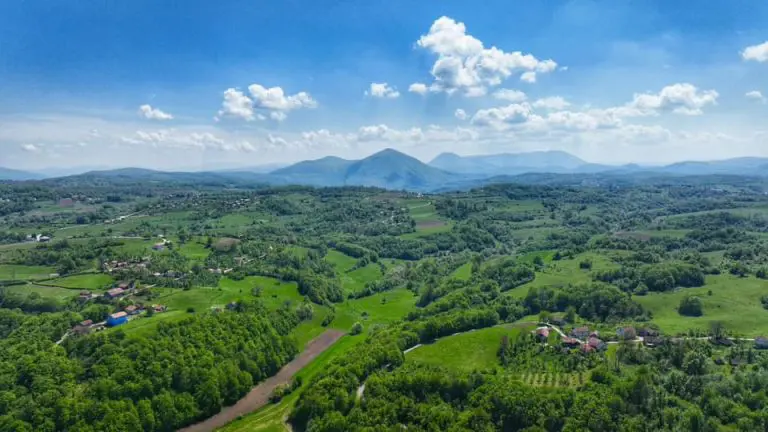 foto Aleksandar Trifunović