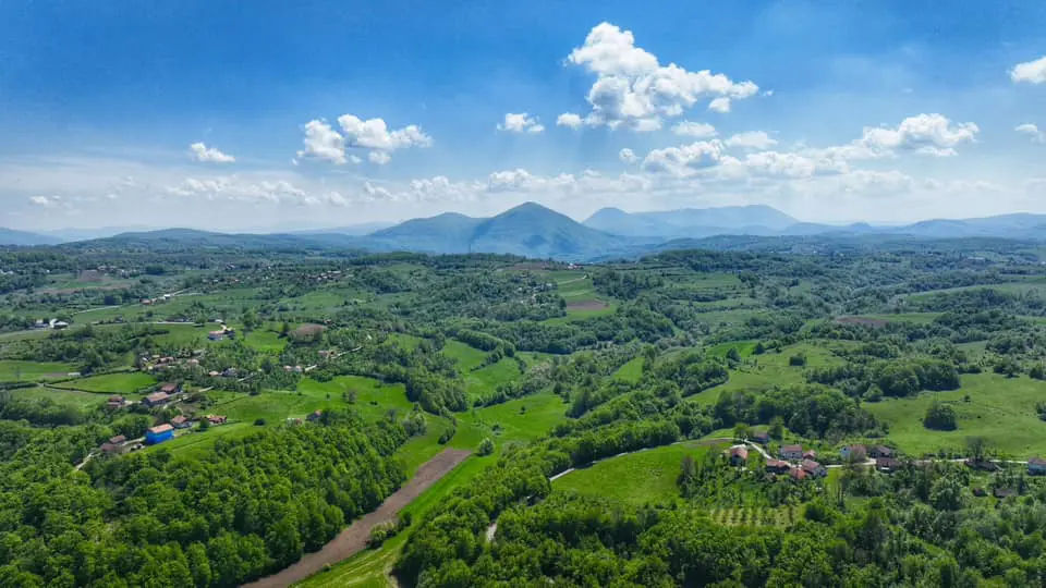 foto Aleksandar Trifunović