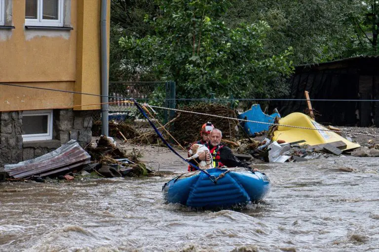 Dunav raste za metar svaka 24h, zna se i gdje će u Hrvatskoj biti najgore: Kakav je sistem zaštite od poplava u BiH?