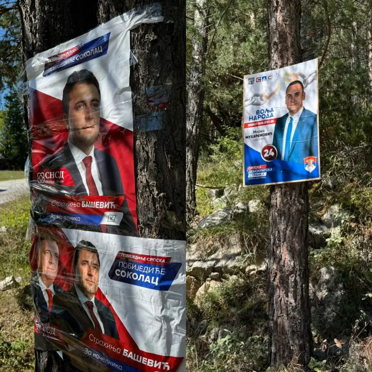 Uprkos kaznama i do 30.000KM kandidati i stranke i dalje lijepe plakate na stabla i stubove javne rasvjete