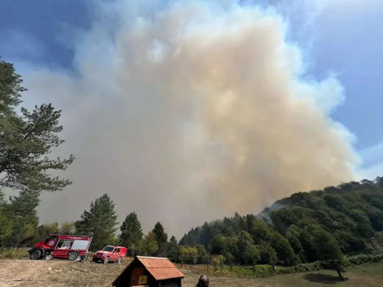 Mještani srebreničkog sela Luka nadaju se da će kiša ugasiti požar