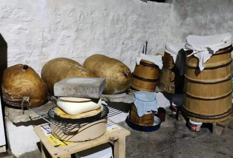 Gastro biser Hercegovine: Gatački kajmak iz mješine zaštićen oznakom porijekla