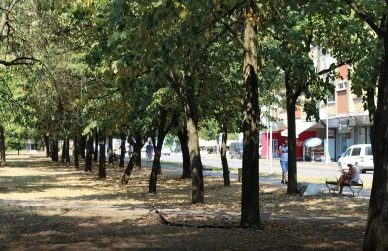 Pogledajte slova u Ćiriličnom parku FOTO