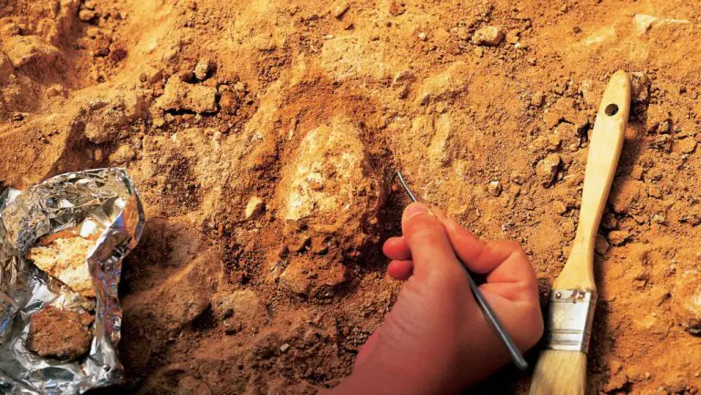 Arheološka misterija: Zašto je u grobnici staroj 5.600 godina sahranjeno duplo više žena?