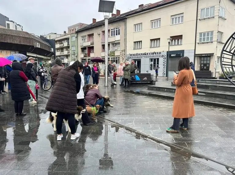 Sramota u 21. veku: Banjaluka traži pravdu za zlostavljane životinje