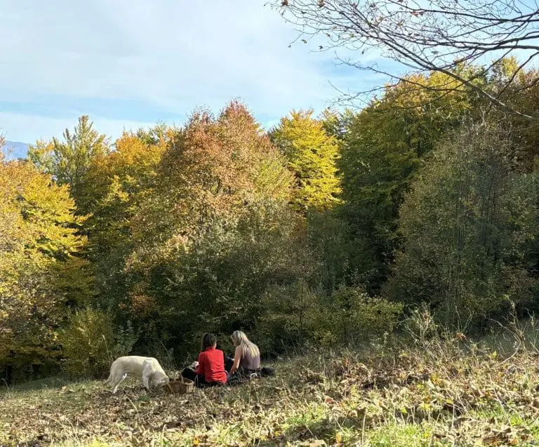 Evo kakvo vrijeme će biti za 1. maj
