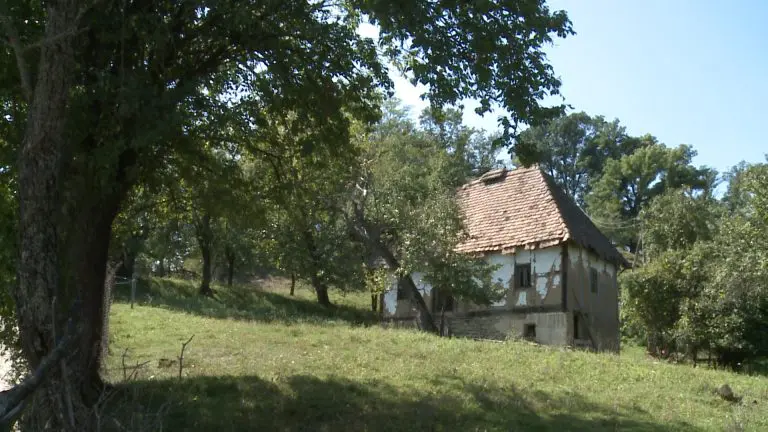 Uprkos desetinama miliona izdvajanja iz budžeta: Sve manje zasijanih površina u BiH