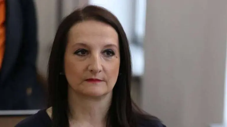 Zastupnica u Parlamentu FBiH: “Tito je napravio most za 18 sati, a njegov pionir Nikšić nije uspio prugu ni za 54 dana”