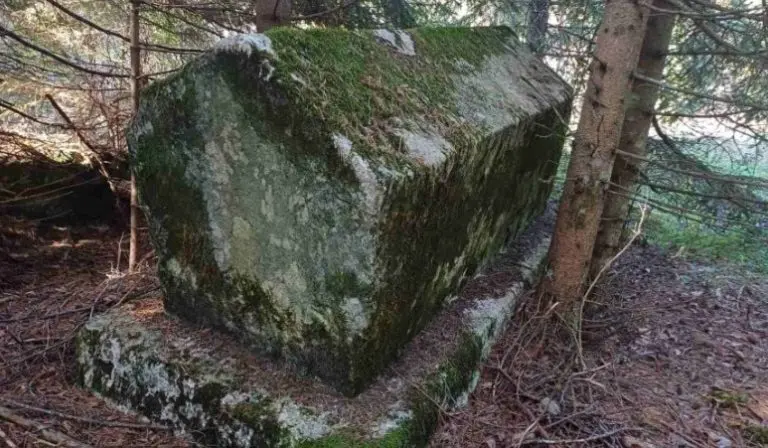 Novo arheološko blago u BiH: U šumi otkrivena nekropola stećaka iz srednjeg vijeka!”