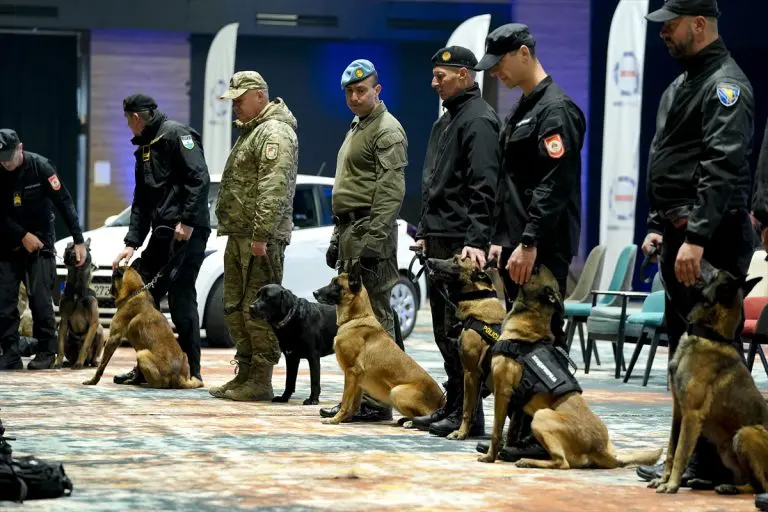 Državno takmičenje K9 jedinica: Policijski psi ključni u borbi protiv kriminala u BiH