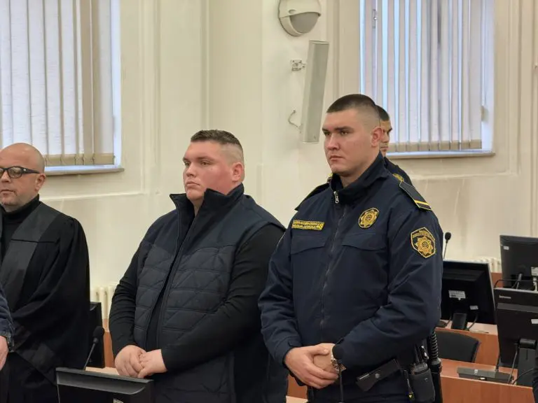 Vozilom usmrtio dvije mlade doktorice: Arminu Berberoviću 20 godina zatvora