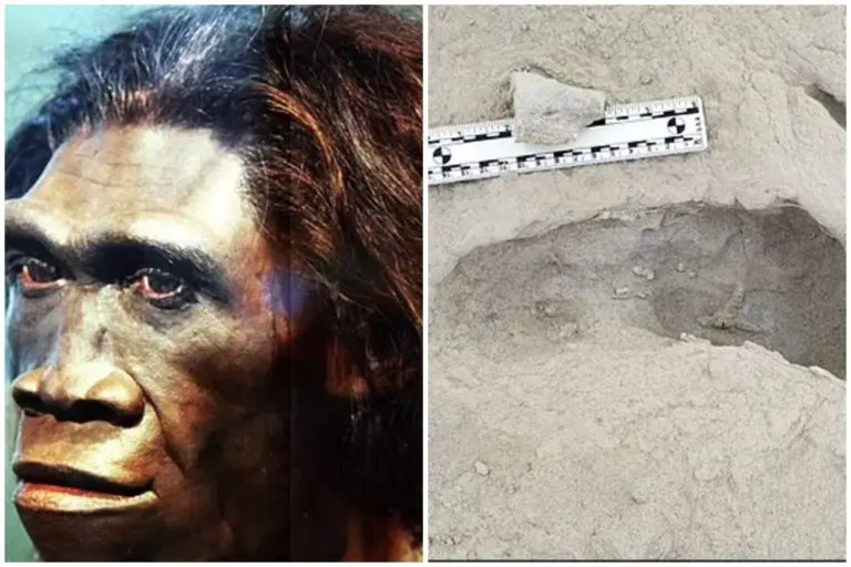 Otisci stopala stari 1,5 miliona godina pronađeni u Africi otkrivaju tajne o ljudskoj evoluciji