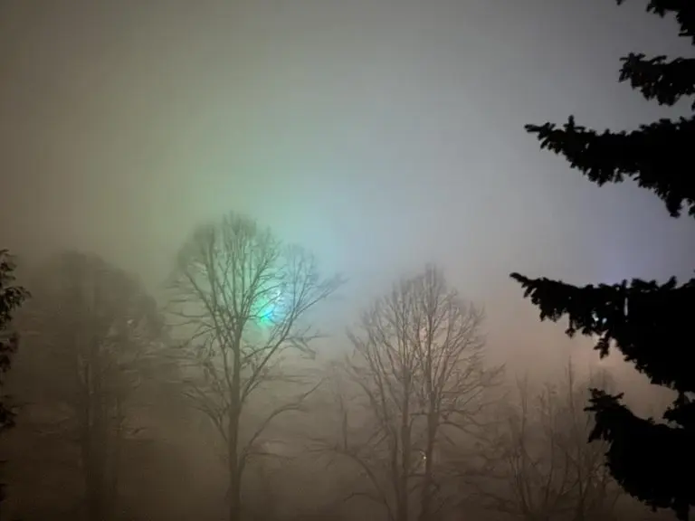 Vlast nijemo posmatra kako nas zagađen zrak ubija