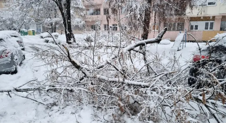 Snijeg intenzivno pada, brojni problemi na terenu