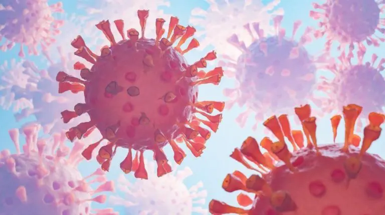 Nedavno otkriveni novi entiteti u ljudskom tijelu sada su dobili nastavak priče: 50 posto populacije ih ima na jednom mjestu