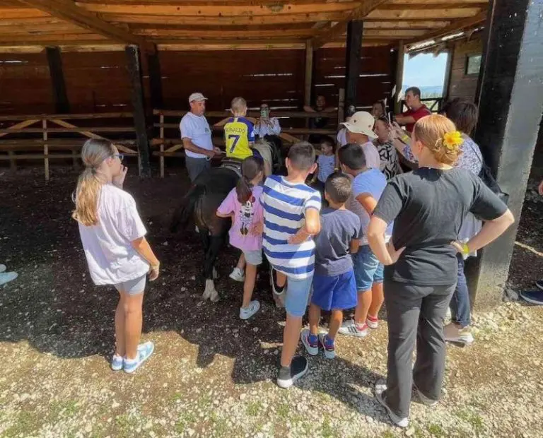 Oglasilo se Ministarstvo prosvjete u vezi sa školom u prirodi i ekskurzijom