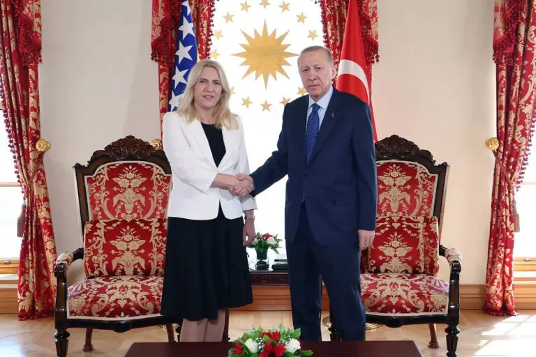 Cvijanović sa Erdoganom: Aktuelnu krizu izazvao neizabrani stranac