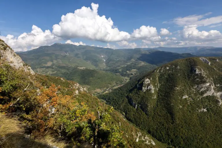Međunarodni dan akcije za rijeke: Istraživanja na Rzavu i Sani otkrila nepoznat i fascinantan divlji svijet