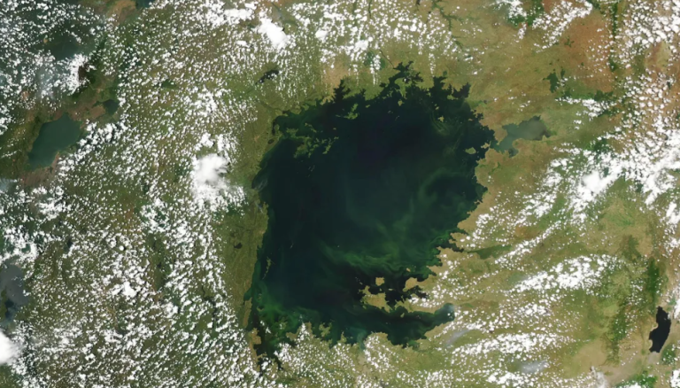 Najveće tropsko jezero na svijetu postaje zeleno, a to je prestravilo naučnike: Evo i zašto