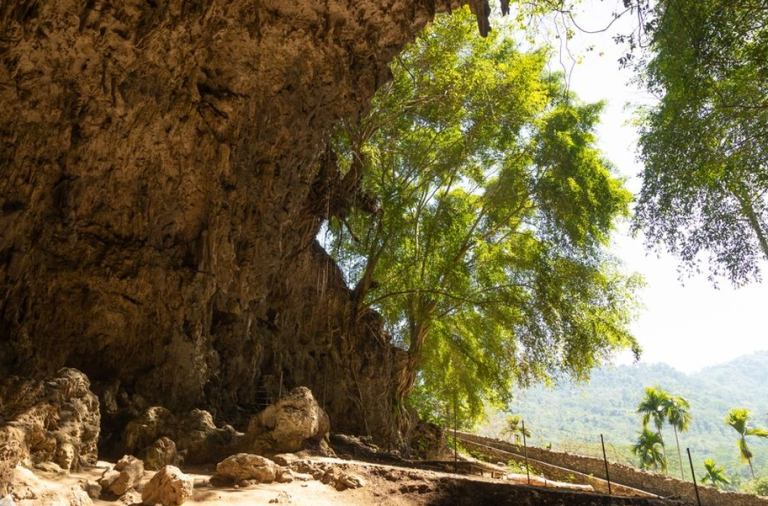 Hobiti ipak nisu izumrli? Neobjašnjiva otkrića i svjedočanstva s otoka Flores koja zbunjuju naučnike