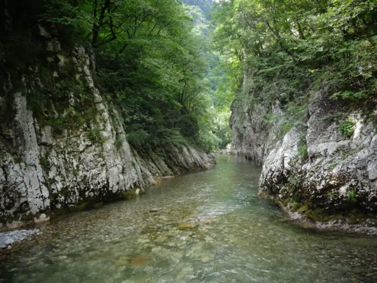 Vlada RS predala NP „Sutjeska“ firmi povezanoj sa Rufijem: Potpisan ugovor vrijedan 70 miliona KM