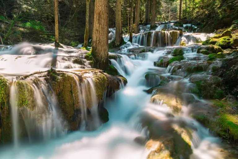 Priroda u punom sjaju: Vrelo Miljacke – dragulj koji oduzima dah