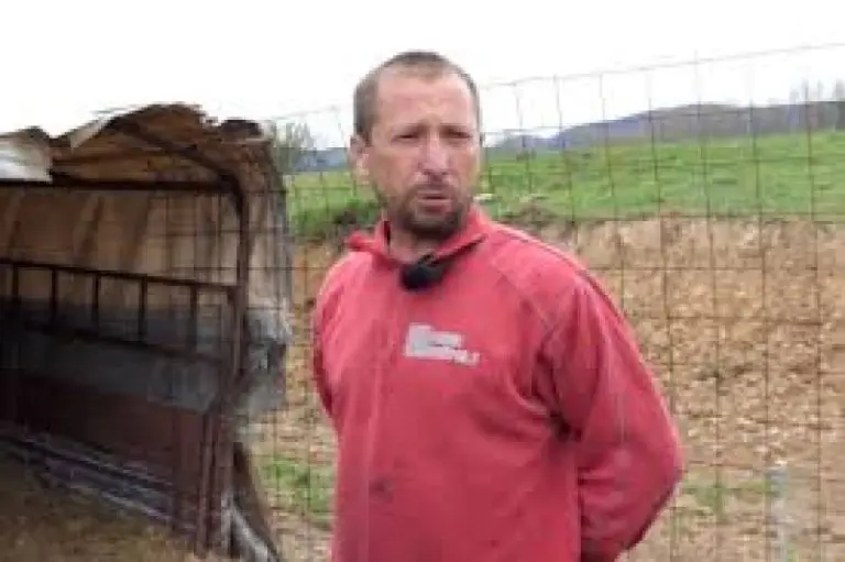 Noć užasa u selu: Medvjed ušao u tor i napravio masakr