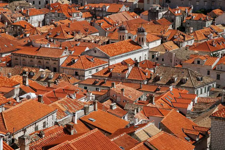 Saša Ilić: Profesorka drame protiv mašinerije