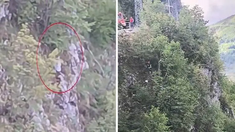 Vozač zamalo završio u ambisu: Cijelu noć visio na dvije grane, vozilo ostalo na drvetu