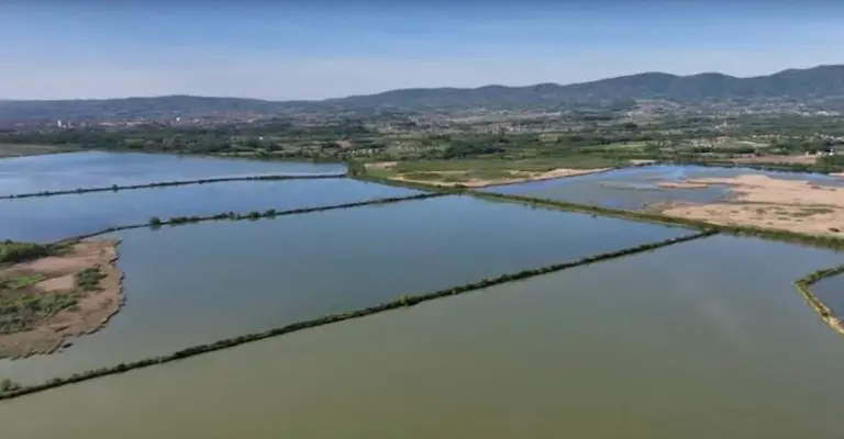 Propast prijedorskih “Saničana”: Ribnjak puca, radnici bez plata, nadležni se ne oglašavaju