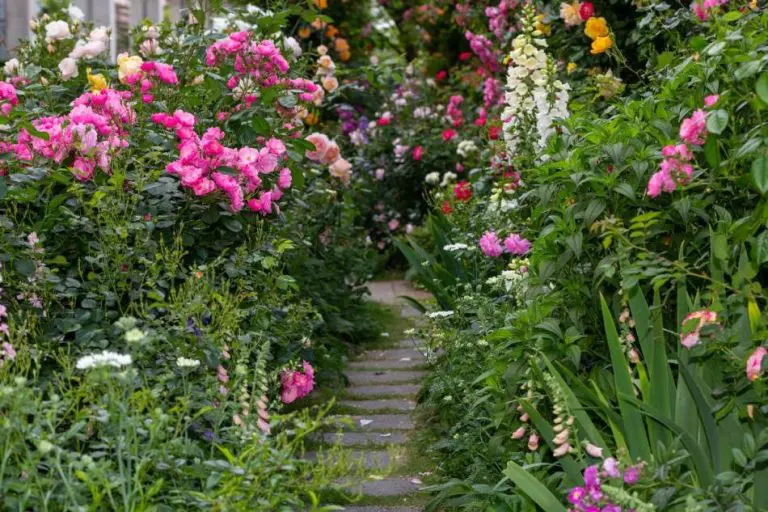 Agresivne biljke koje baštovani ne vole: Izgledaju divno, mirišu još ljepše, ali su prava napast