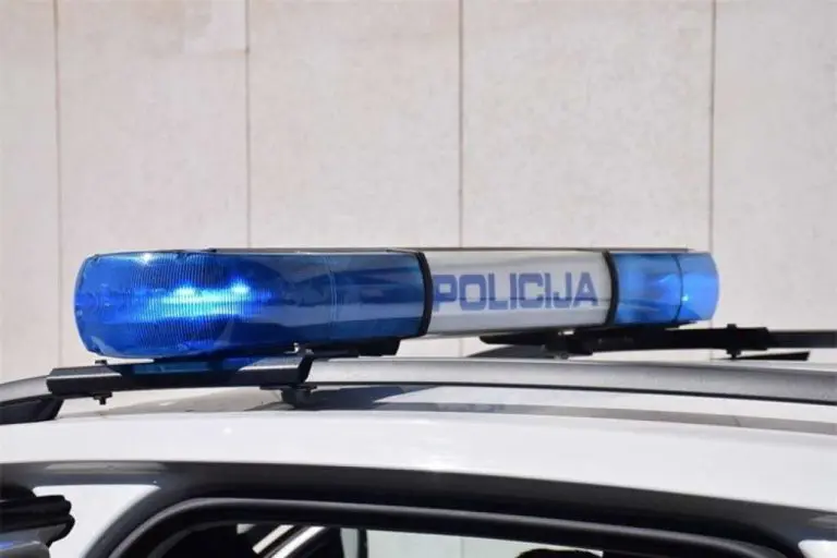 Velika akcija policije u BiH, na meti Panteri