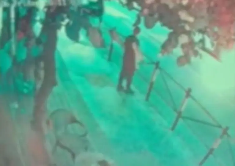 Dačić otkrio detalje: Ubistvo u centru Beogradu naručeno